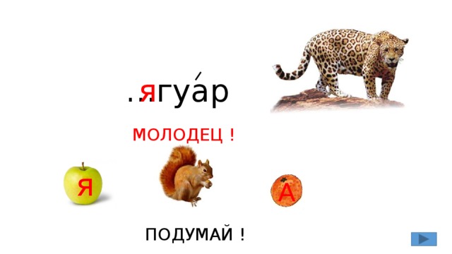 … гуар я МОЛОДЕЦ ! я А ПОДУМАЙ !