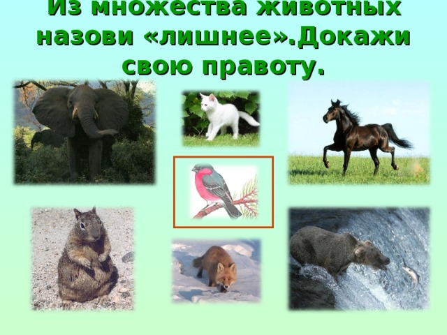 Из множества животных назови «лишнее».Докажи свою правоту. 