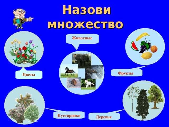Цветы Кустарники Деревья Фрукты Назови множество  Животные  