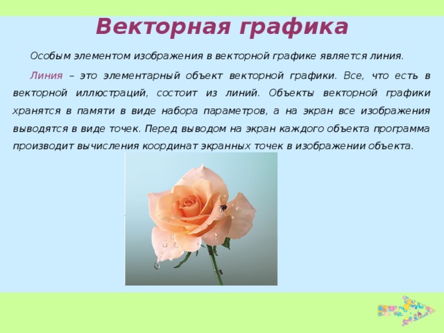 Векторная графика Особым элементом изображения в векторной графике является линия. Линия – это элементарный объект векторной графики. Все, что есть в векторной иллюстраций, состоит из линий. Объекты векторной графики хранятся в памяти в виде набора параметров, а на экран все изображения выводятся в виде точек. Перед выводом на экран каждого объекта программа производит вычисления координат экранных точек в изображении объекта. 