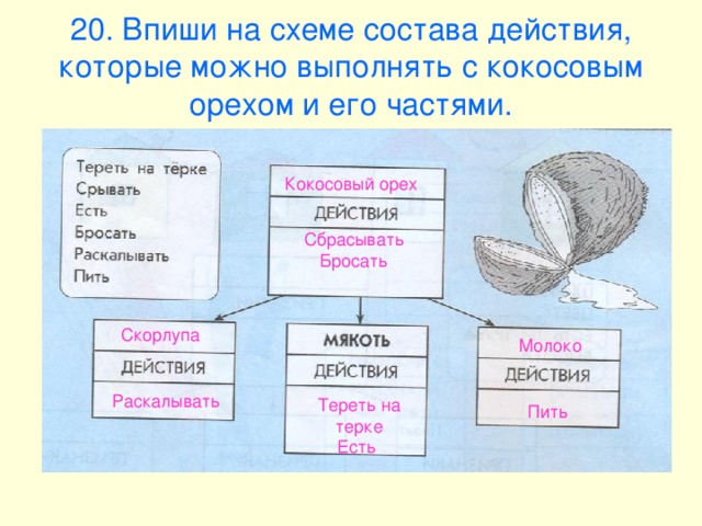 20. Впиши на схеме состава действия, которые можно выполнять с кокосовым орехом и его частями. Кокосовый орех Сбрасывать Бросать Скорлупа Молоко Раскалывать Тереть на терке Есть Пить 