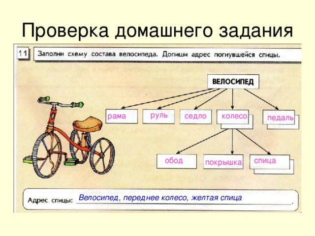 На рисунке показано как выглядит колесо с 7 спицами сколько будет