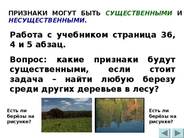 ПРИЗНАКИ МОГУТ БЫТЬ СУЩЕСТВЕННЫМИ И НЕСУЩЕСТВЕННЫМИ . Работа с учебником страница 36, 4 и 5 абзац. Вопрос: какие признаки будут существенными, если стоит задача – найти любую березу среди других деревьев в лесу? Есть ли берёзы на рисунке? Есть ли берёзы на рисунке? 