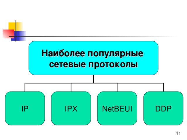 Наиболее популярные сетевые протоколы IP NetBEUI DDP IPX 