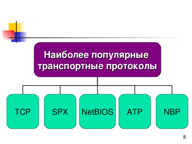 Наиболее популярные транспортные протоколы TCP SPX NetBIOS ATP NBP 
