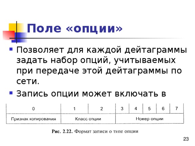 Поле «опции» 