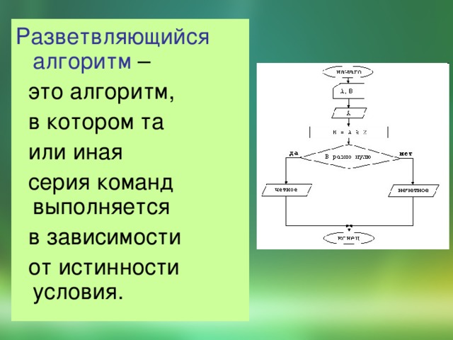 Разветвляющийся  алгоритм –  это алгоритм,  в котором та  или иная  серия команд выполняется  в зависимости  от истинности условия. 