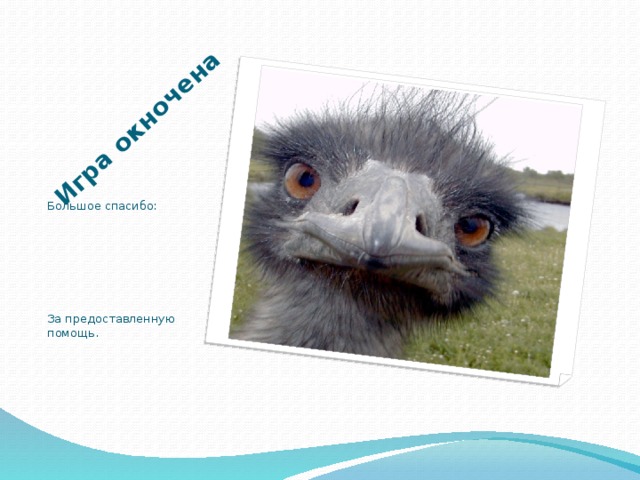 1/1/200 Сколько кнопок было у первой мышки? Одна 