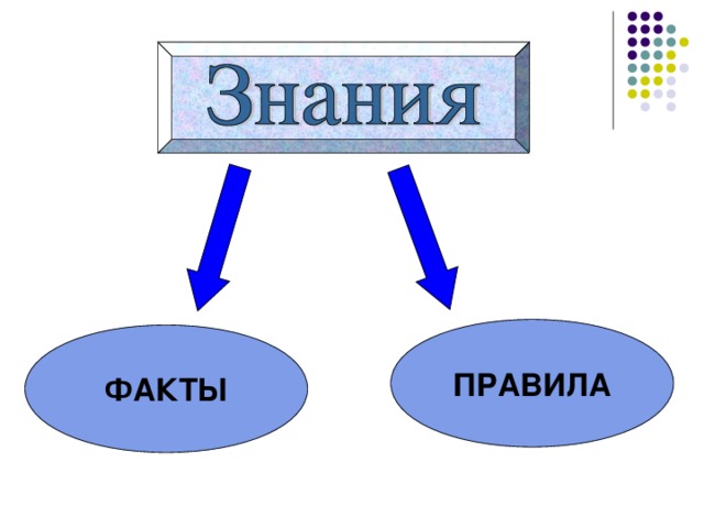 ПРАВИЛА ФАКТЫ 