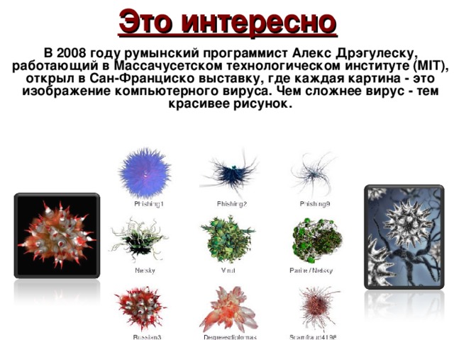 Это интересно В 2008 году румынский программист Алекс Дрэгулеску, работающий в Массачусетском технологическом институте (MIT), открыл в Сан-Франциско выставку, где каждая картина - это изображение компьютерного вируса. Чем сложнее вирус - тем красивее рисунок.          