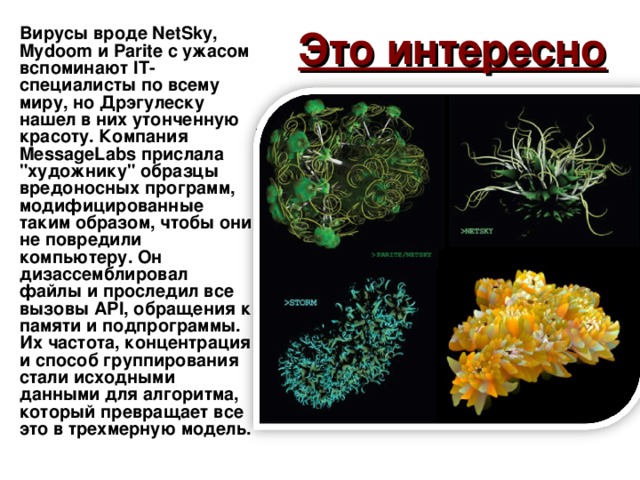 Это интересно Вирусы вроде NetSky, Mydoom и Parite с ужасом вспоминают IT-специалисты по всему миру, но Дрэгулеску нашел в них утонченную красоту. Компания MessageLabs прислала 