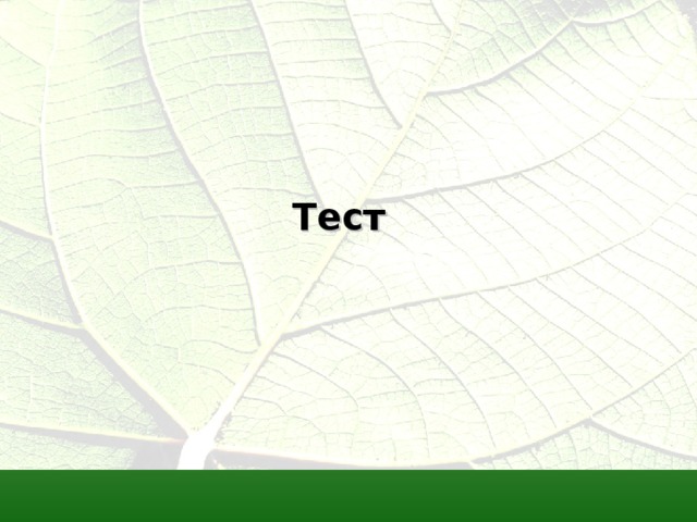 Тест 