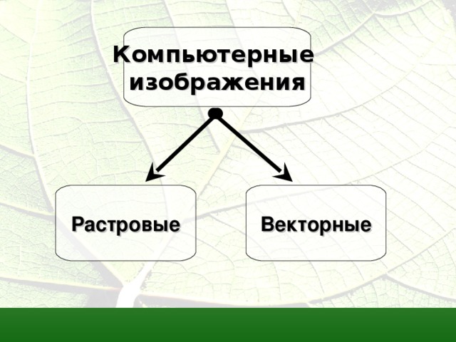 Качество растрового изображения