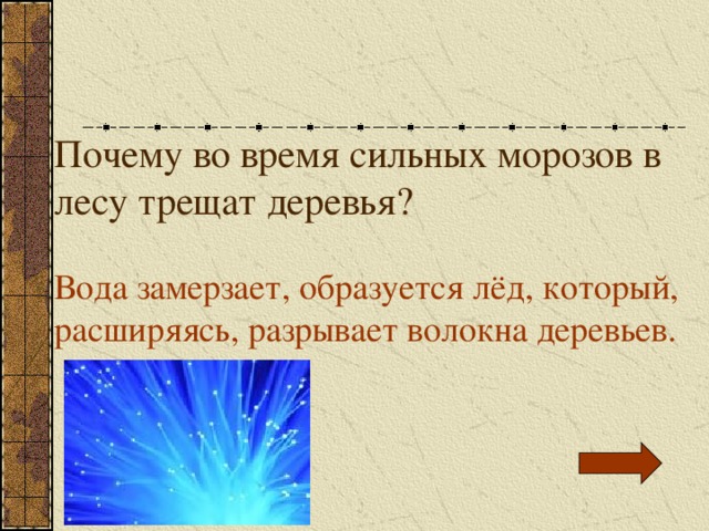 Почему во время сильных морозов в лесу трещат деревья? Вода замерзает, образуется лёд, который, расширяясь, разрывает волокна деревьев. 