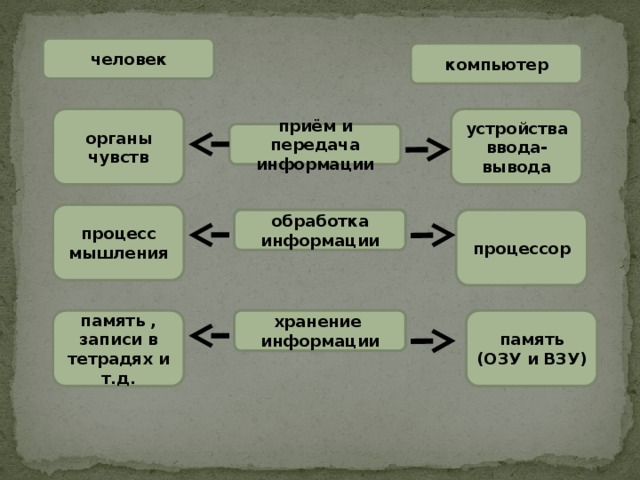 человек компьютер органы чувств устройства ввода-вывода приём и передача информации процесс мышления обработка информации процессор память , записи в тетрадях и т.д. хранение информации память (ОЗУ и ВЗУ) 