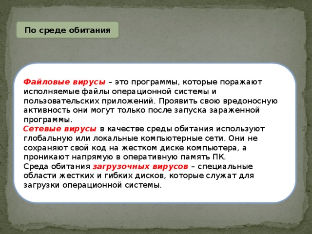 По среде обитания Файловые вирусы – это программы, которые поражают исполняемые файлы операционной системы и пользовательских приложений. Проявить свою вредоносную активность они могут только после запуска зараженной программы. Сетевые вирусы в качестве среды обитания используют глобальную или локальные компьютерные сети. Они не сохраняют свой код на жестком диске компьютера, а проникают напрямую в оперативную память ПК. Среда обитания загрузочных вирусов – специальные области жестких и гибких дисков, которые служат для загрузки операционной системы. 