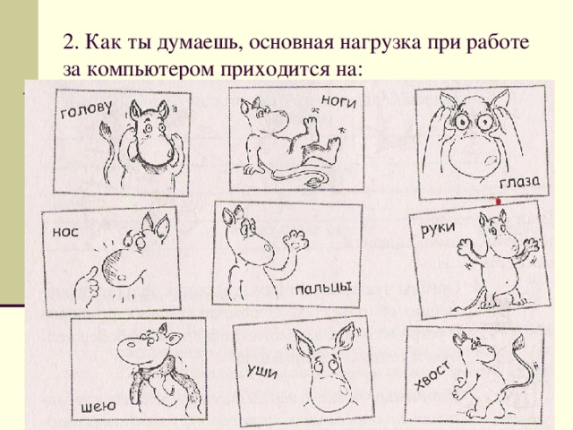 2. Как ты думаешь, основная нагрузка при работе за компьютером приходится на: 