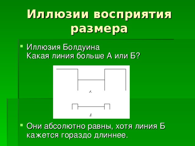 Иллюзия Болдуина  Какая линия больше А или Б?      Они абсолютно равны, хотя линия Б кажется гораздо длиннее. 