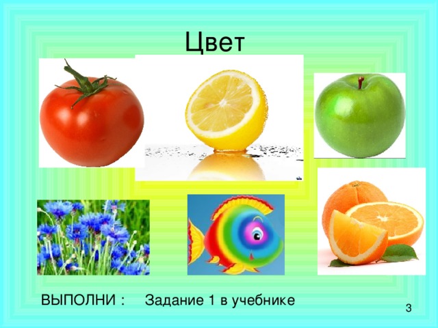 ВЫПОЛНИ : Задание 1 в учебнике 