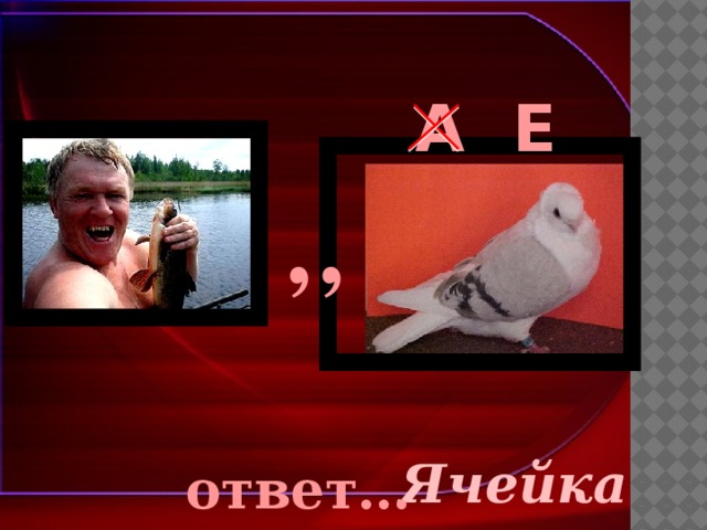 A E , , Ячейка ответ… 