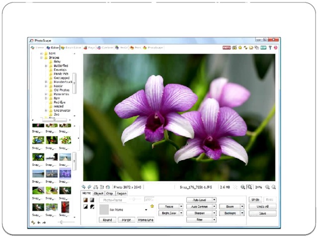 Растровый графический редактор PhotoScape 