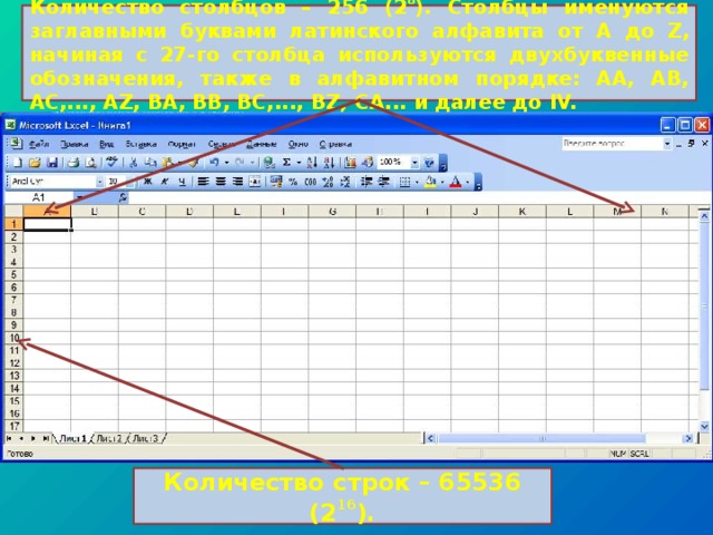 Количество столбцов – 256 (2 8 ). Столбцы именуются заглавными буквами латинского алфавита от A до Z , начиная с 27-го столбца используются двухбуквенные обозначения, также в алфавитном порядке: АА, АВ, AC,..., AZ, ВА, ВВ, ВС,..., BZ, СА... и далее до IV. Количество строк – 65536 (2 16 ). 