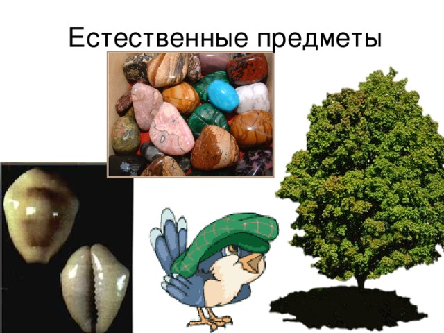 Естественные предметы 
