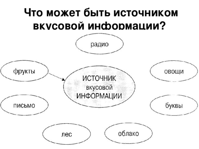 Форма предмета является источником информации для таких приемников информации как человек компьютер