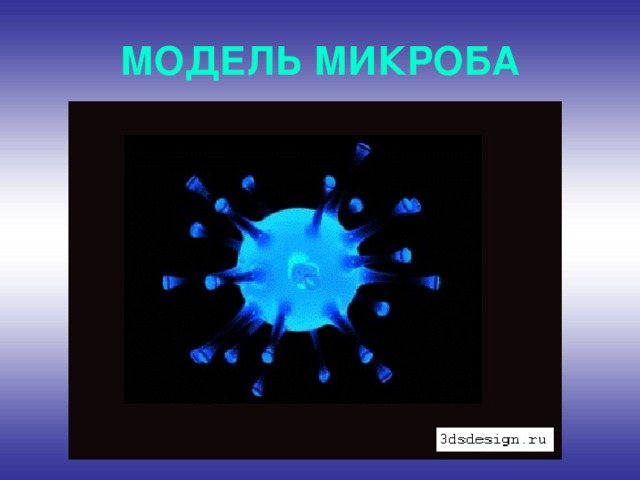 МОДЕЛЬ МИКРОБА 