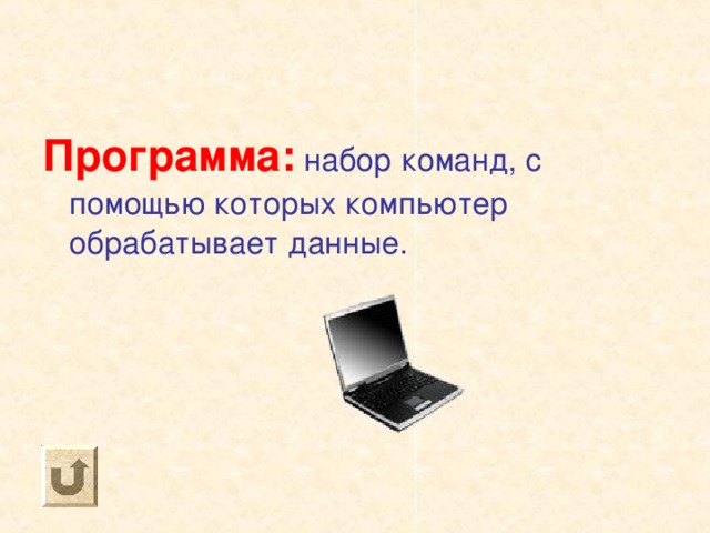 Программа: набор команд, с помощью которых компьютер обрабатывает данные. 