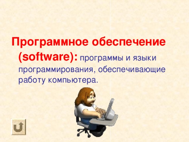 Программное обеспечение ( software) : программы и языки программирования, обеспечивающие работу компьютера. 