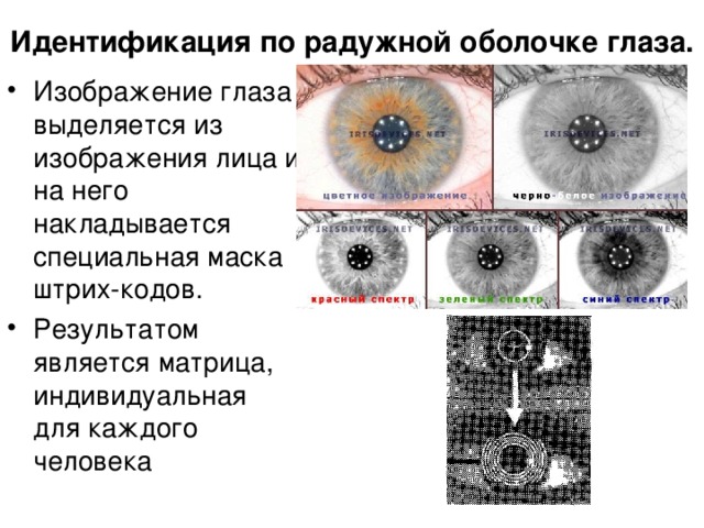 Идентификация зрительных изображений разностильных по способу изображения проводится для