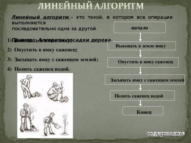 Линейный алгоритм – это такой, в котором все операции выполняются последовательно одна за другой. Пример: Алгоритм посадки дерева .   начало Выкопать в земле ямку; Опустить в ямку саженец; Засыпать ямку с саженцем землей; Полить саженец водой. Выкопать  в земле ямку Опустить в ямку саженец Засыпать ямку с саженцем землей Полить саженец водой Конец 