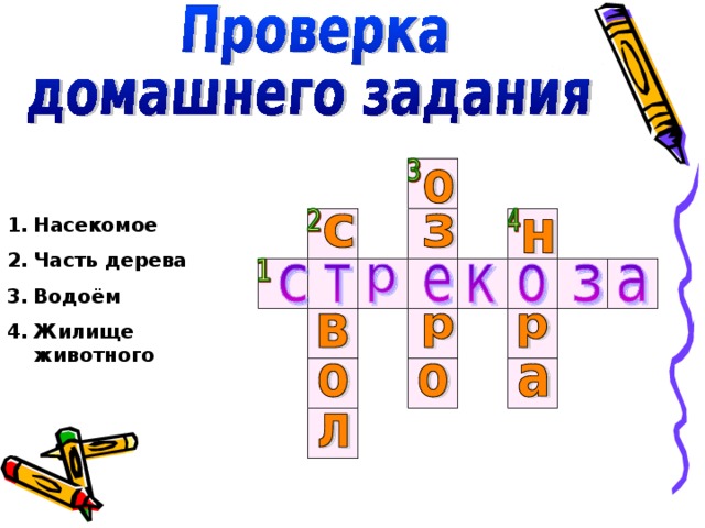 Насекомое Часть дерева Водоём Жилище животного 