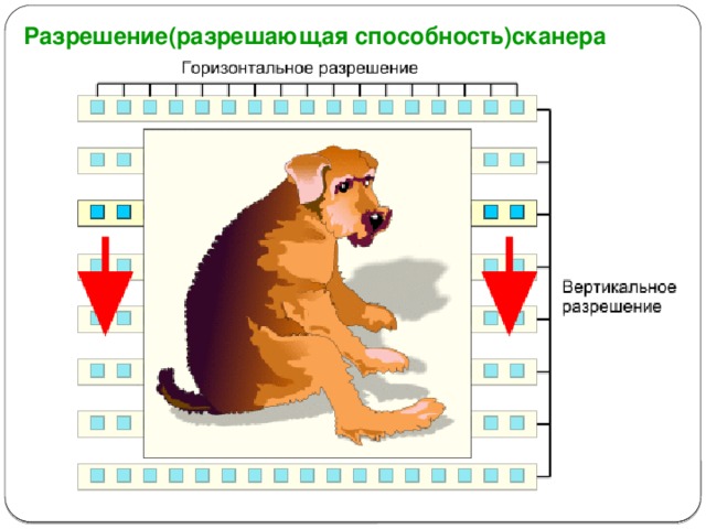 Что определяет разрешающая способность сканера