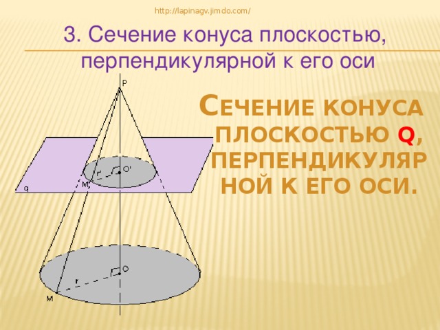 http://lapinagv.jimdo.com/ 3. Сечение конуса плоскостью, перпендикулярной к его оси С ечение конуса плоскостью q , перпендикулярной к его оси. 