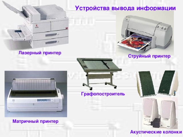 Устройства вывода информации Лазерный принтер Струйный принтер Графопостроитель Матричный принтер Акустические колонки 