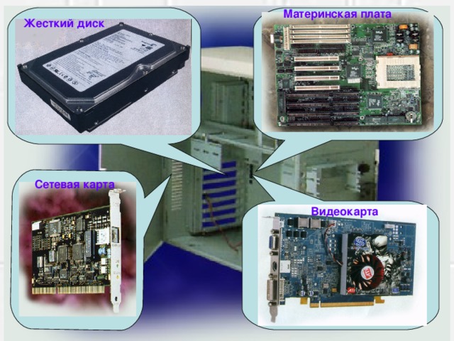 Материнская плата Жесткий диск Сетевая карта Видеокарта 