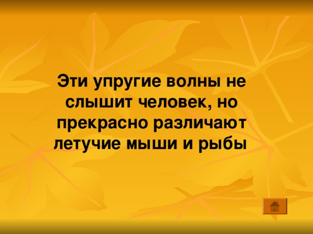 Эти упругие волны не слышит человек, но прекрасно различают летучие мыши и рыбы  