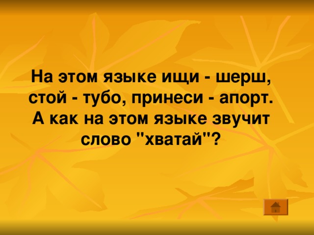 На этом языке ищи - шерш, стой - тубо, принеси - апорт. А как на этом языке звучит слово 