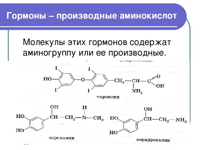 Проект по химии гормоны