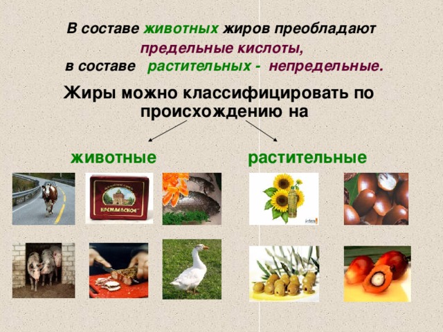  В составе животных жиров преобладают  предельные кислоты,  в составе растительных - непредельные. Жиры можно классифицировать по происхождению на животные  растительные 