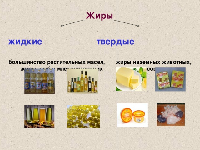 Презентация жиры и масла