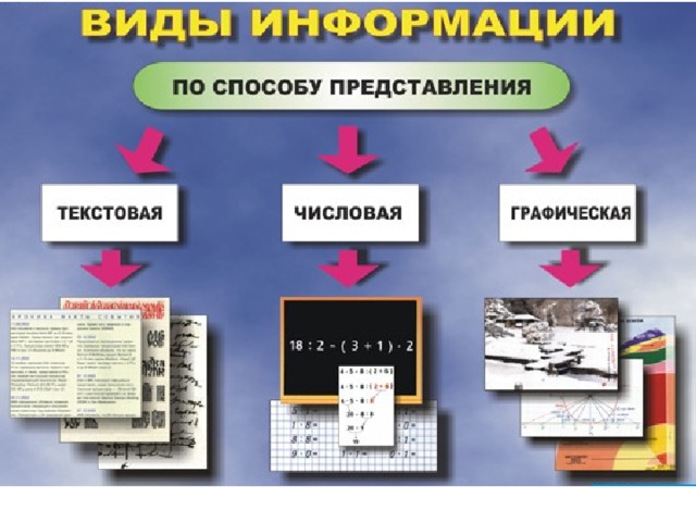 Заполнить таблицу виды информации