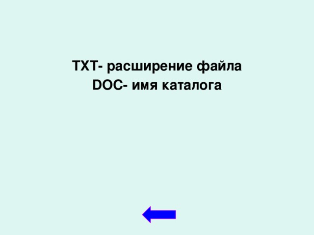 TXT- расширение файла DOC- имя каталога  