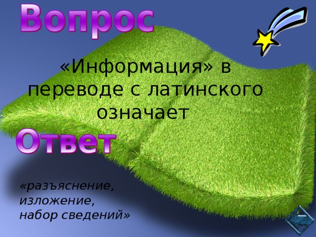 В переводе с латинского слово проект означает