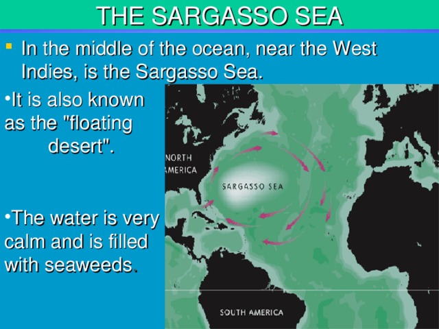 THE SARGASSO SEA In the middle of the ocean, near the West Indies, is the S...
