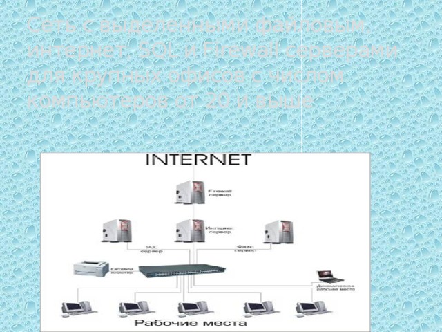 Сеть с выделенными файловым, интернет, SQL и Firewall серверами для крупных офисов с числом компьютеров от 20 и выше 