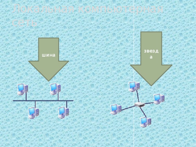 Локальная компьютерная сеть звезда шина 