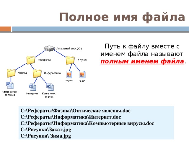 Запишите полные имена всех файлов